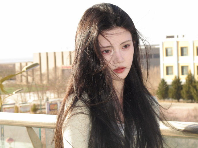 蜘蛛池能否提升收录质量？