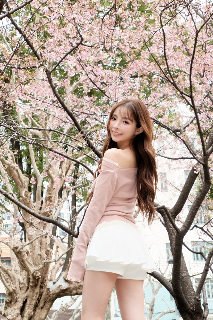 蜘蛛池中的IP地址轮换策略