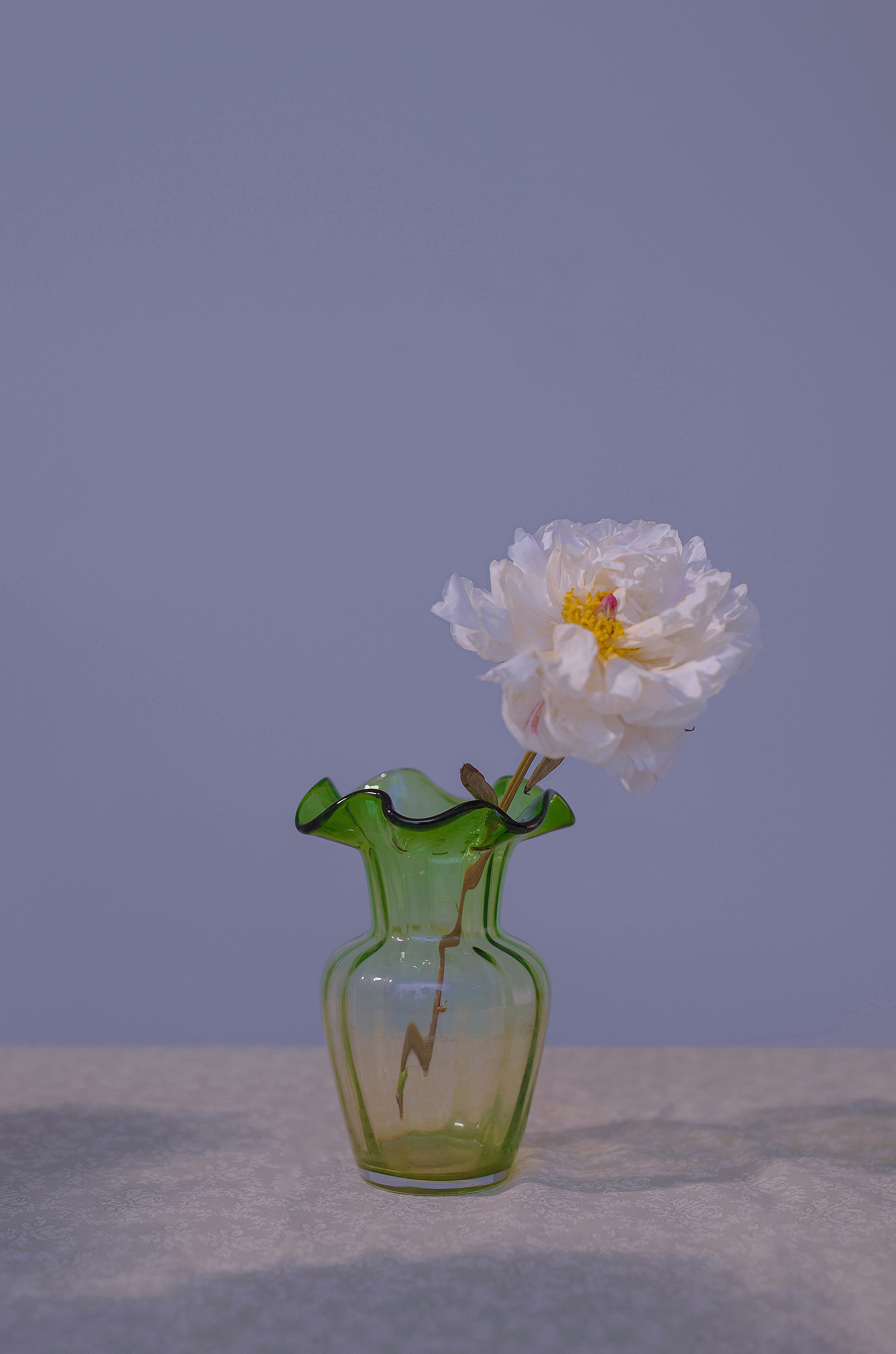 观乾潮app提现不了怎么办