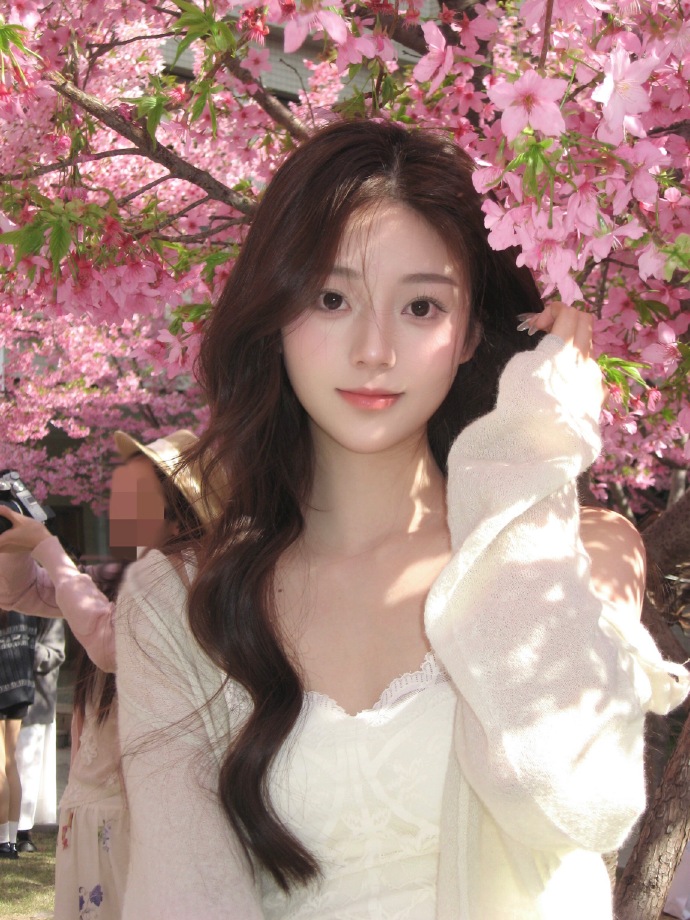 蜘蛛池对SEO黑帽技术的风险分析