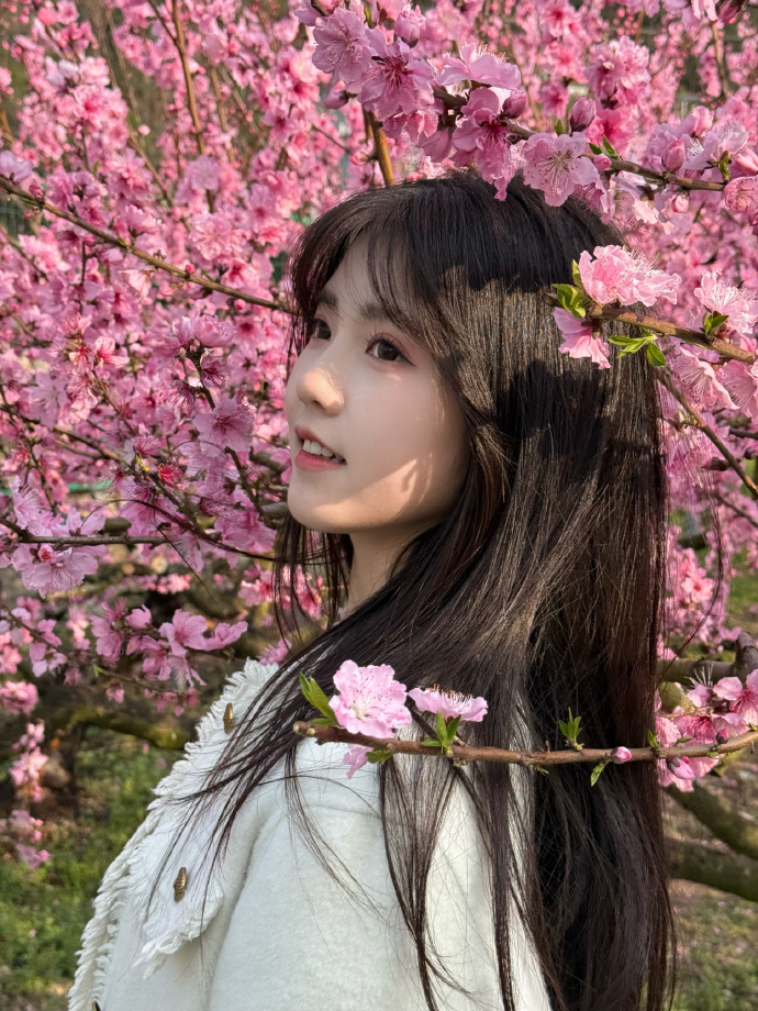 蜘蛛池在自动化站群系统中的角色