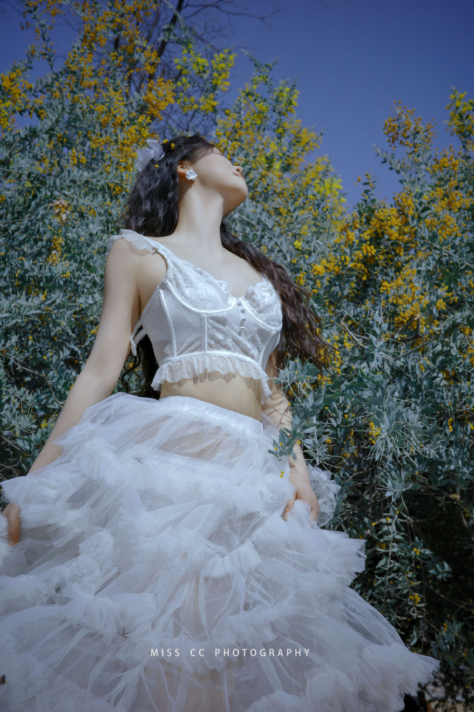 蜘蛛池是否适合用于低频词库类页面