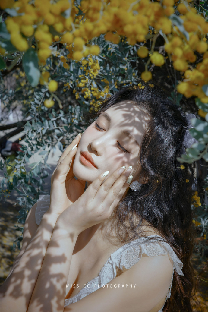 快速构建蜘蛛池的五个步骤