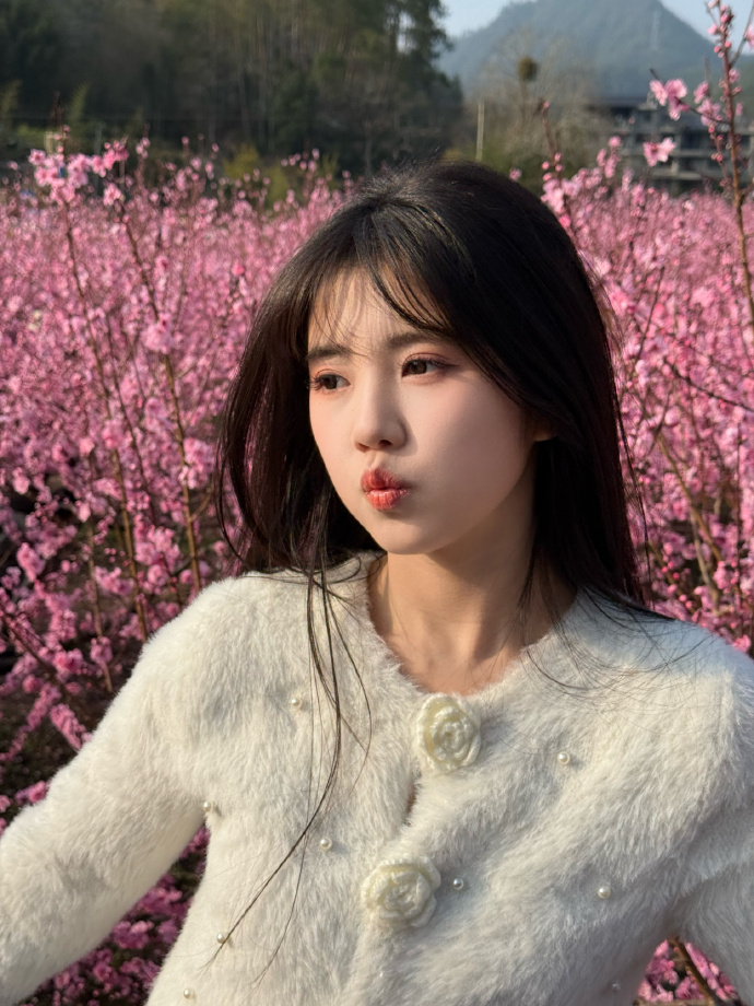 蜘蛛池访问日志的深度分析