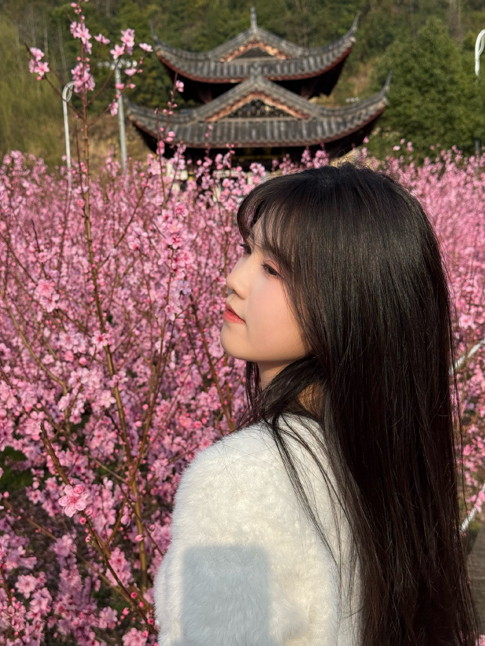 蜘蛛池对SEO黑帽技术的风险分析