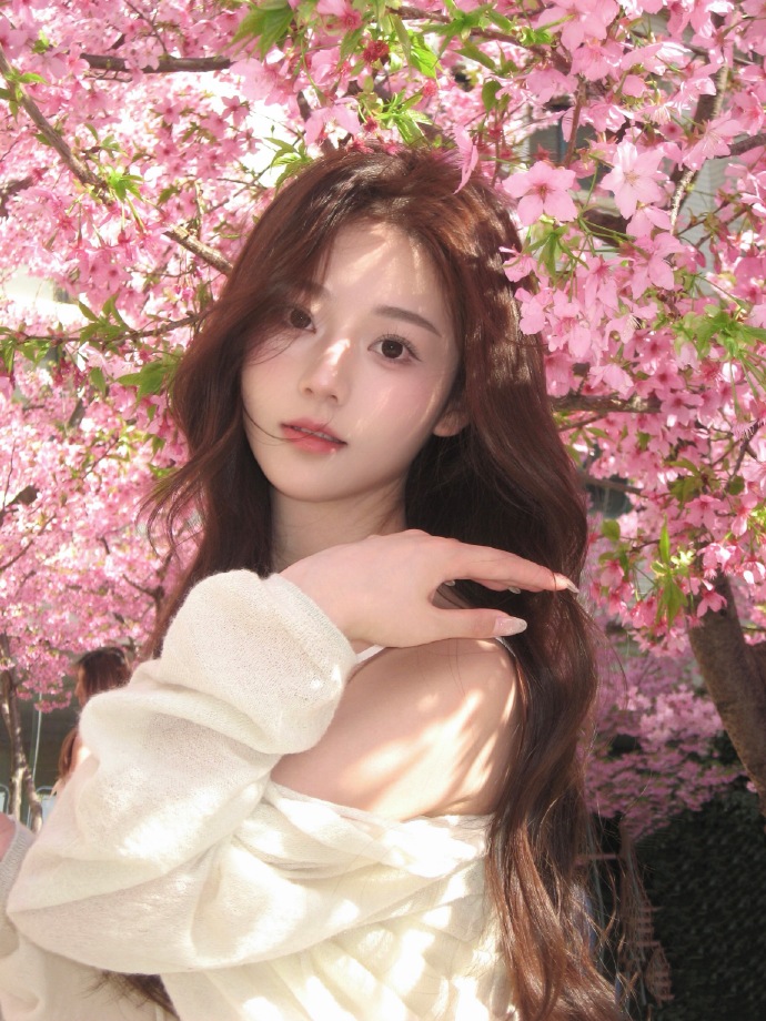 蜘蛛池在小程序内容优化中的使用方式