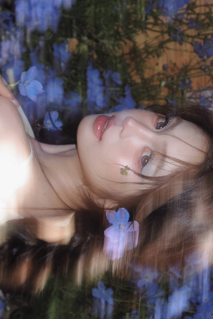 蜘蛛池的分布式架构实现方案