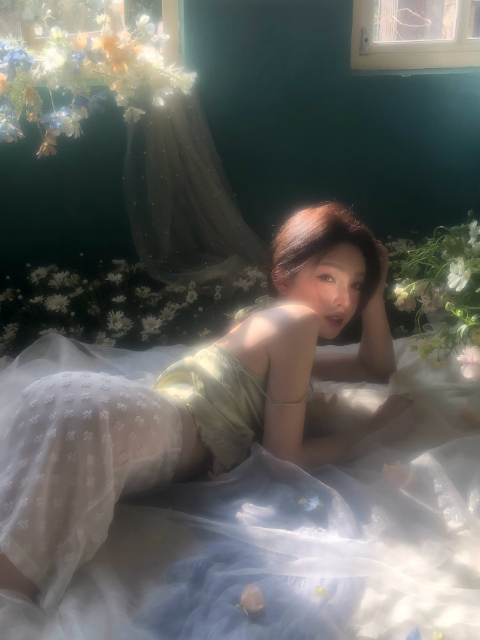 蜘蛛池在泛解析中的实战价值