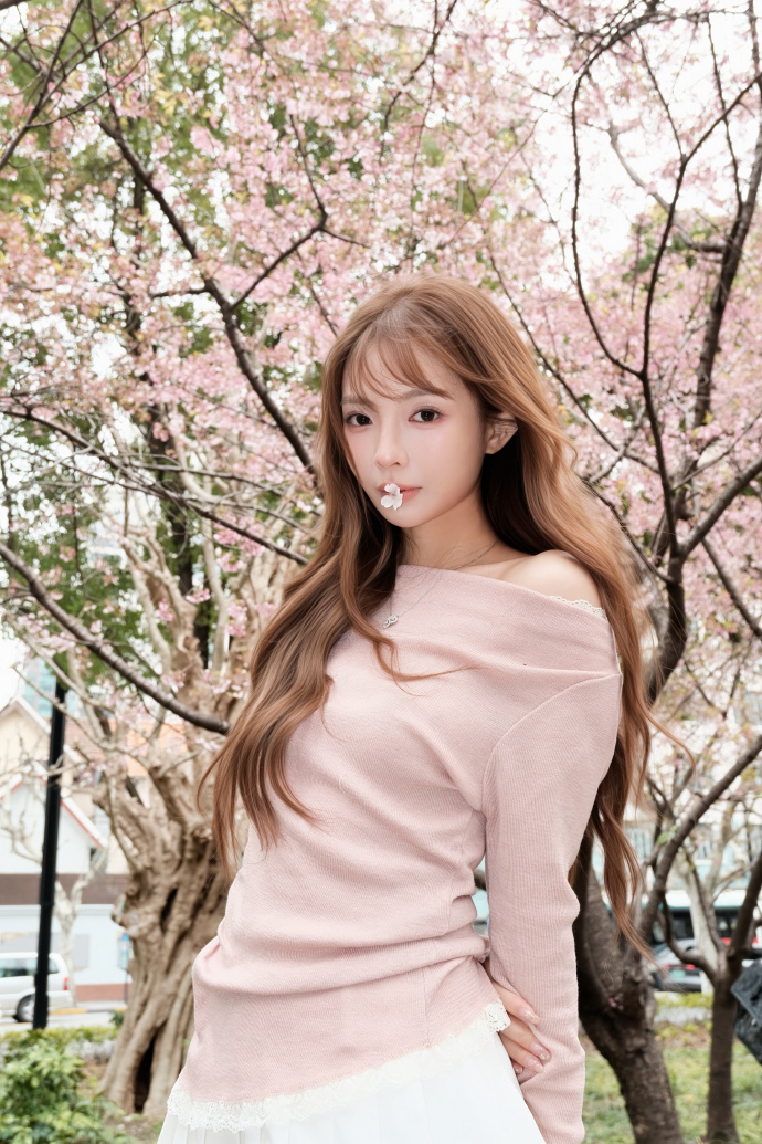 蜘蛛池中的IP地址轮换策略