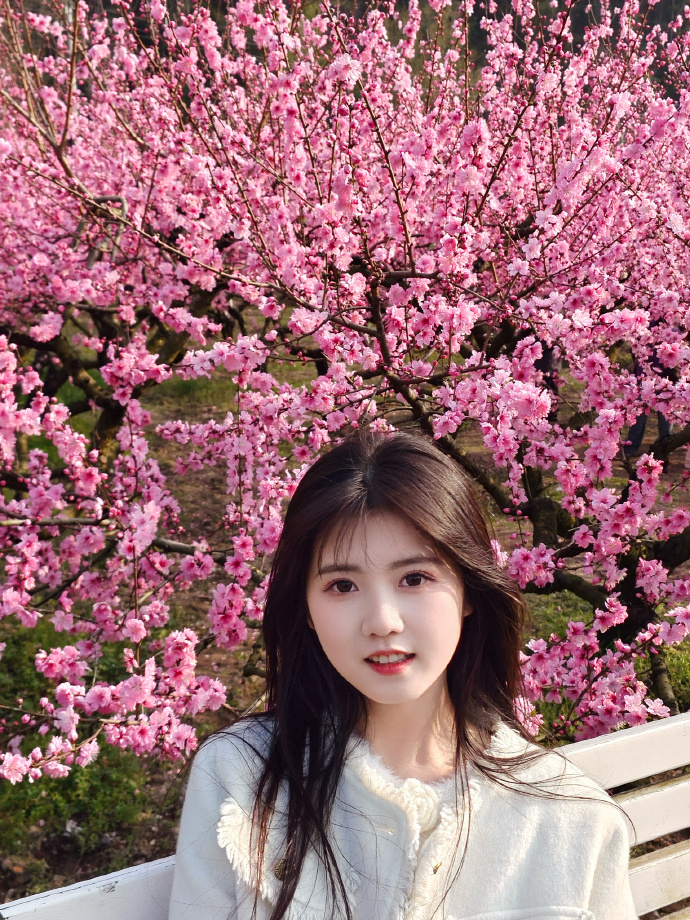 蜘蛛池访问日志的分析方法