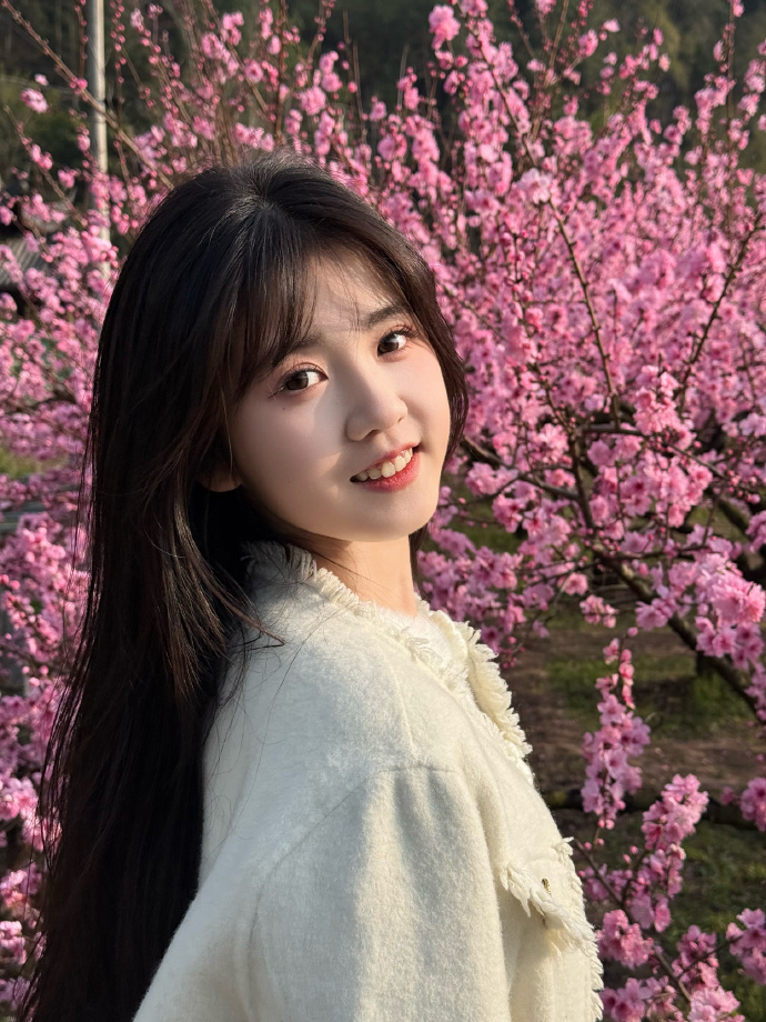 蜘蛛池对SEO黑帽技术的风险分析