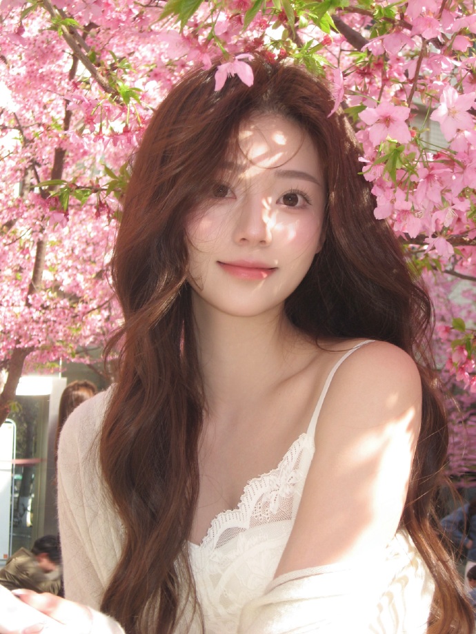 蜘蛛池的分布式架构实现方案