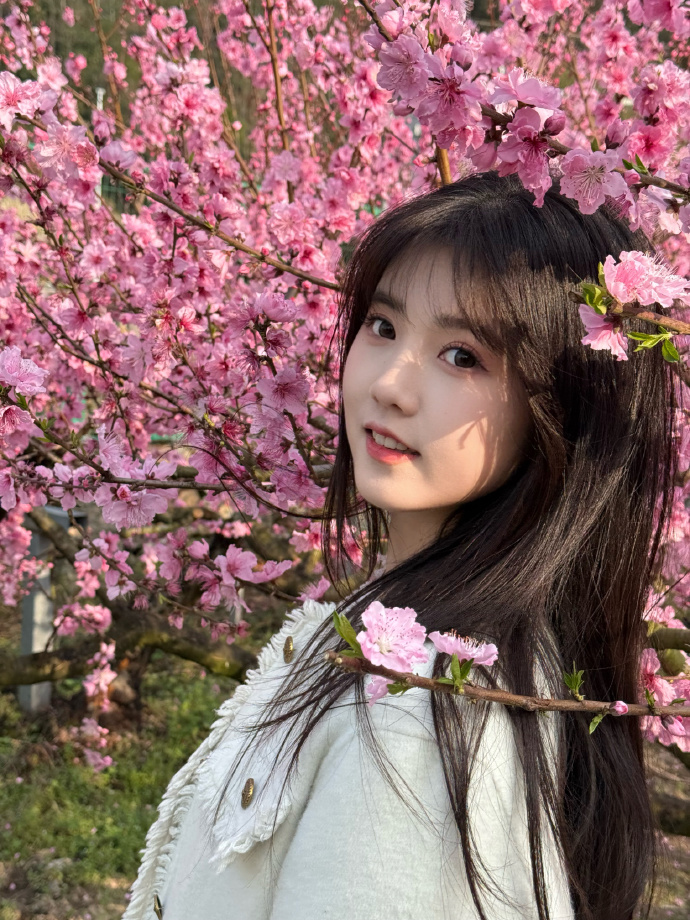 网站降权后，蜘蛛池还能用吗？