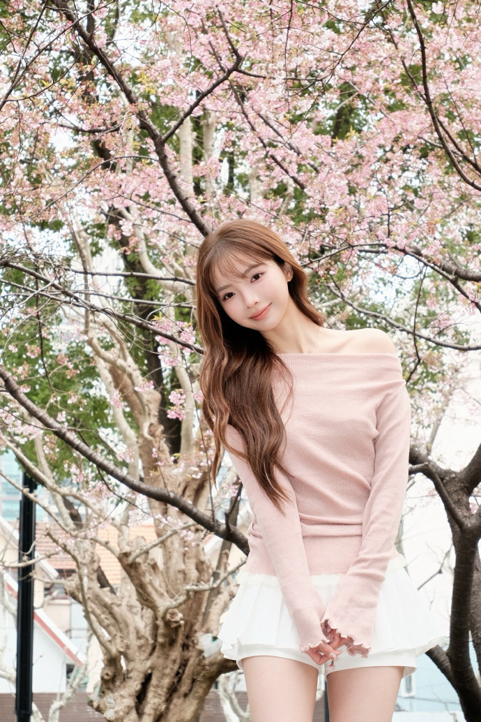 蜘蛛池在自动化站群系统中的角色