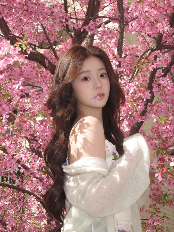 蜘蛛池对SEO黑帽技术的风险分析