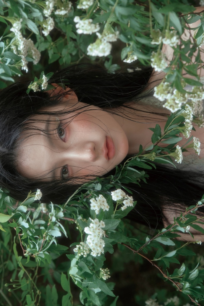 蜘蛛池在小程序内容优化中的使用方式