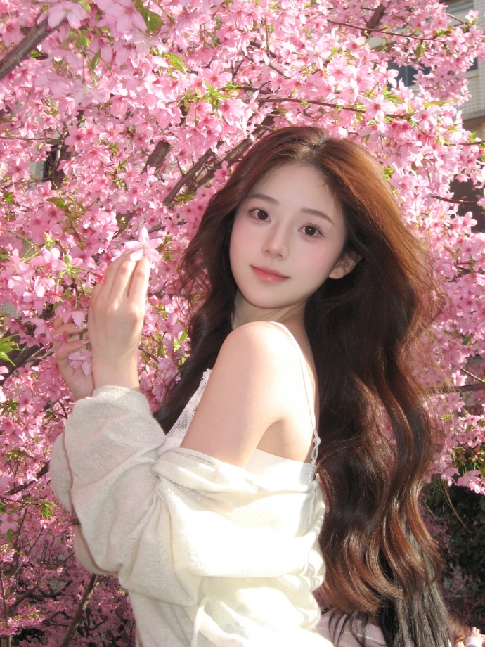 蜘蛛池在小程序内容优化中的使用方式