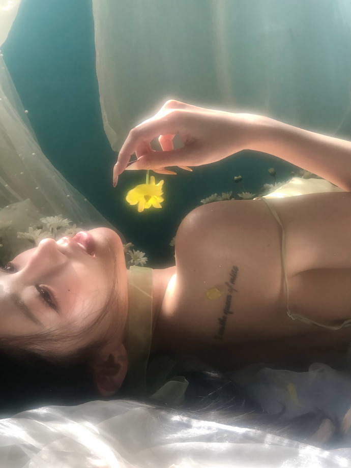 蜘蛛池在小程序内容优化中的使用方式