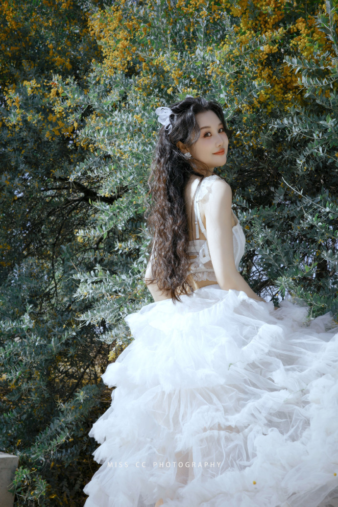 蜘蛛池在自动化站群系统中的角色