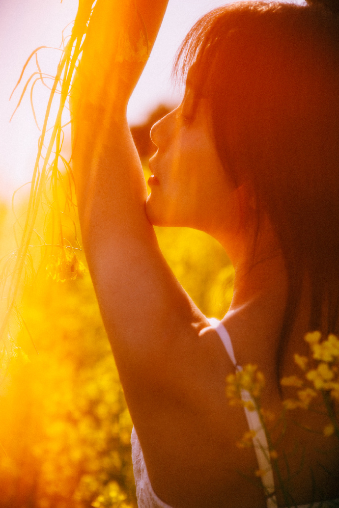 蜘蛛池是否能配合低频爬虫同步策略