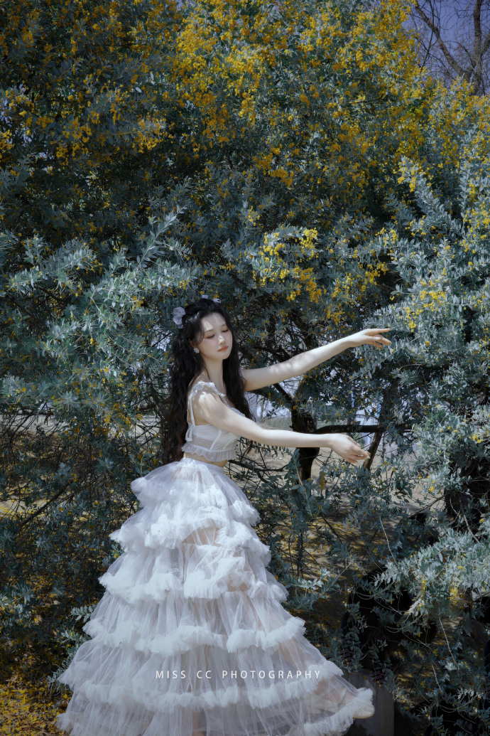 枭龙网络科技app做任务被骗提现不了